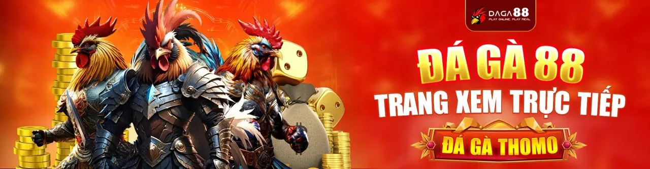 Đá Gà Trực Tuyến 3king01
