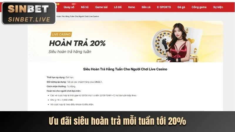 Phân Tích Chi Tiết Các Chương Trình Khuyến Mãi Mới Nhất của 3king01
